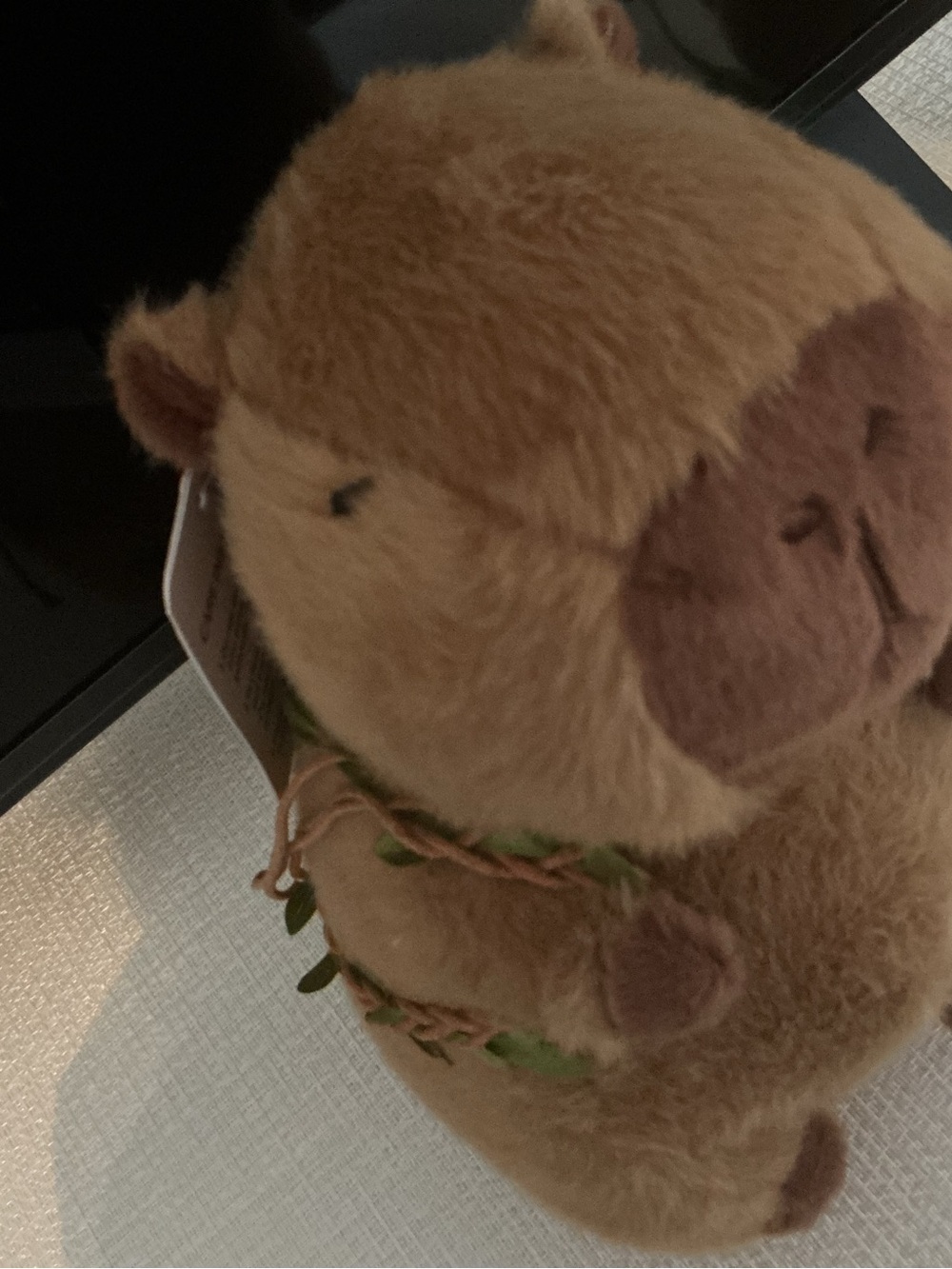 Cute capybara with avocado book bag and it’s very soft - Picture 2 of 5